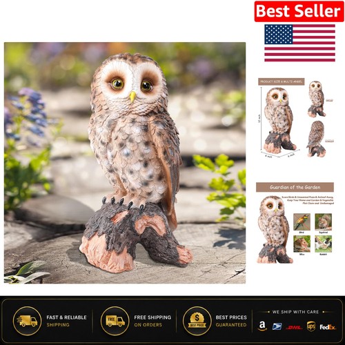Charming resin owl - owl, statue